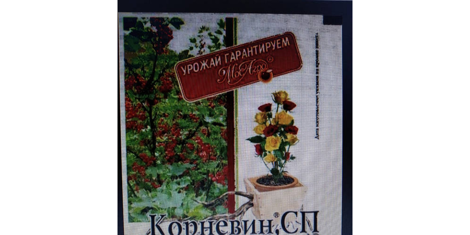 Корневин сп 8 гр.