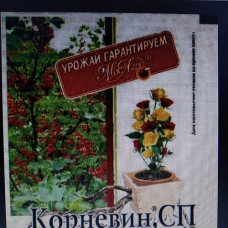 Корневін сп 8 гр.