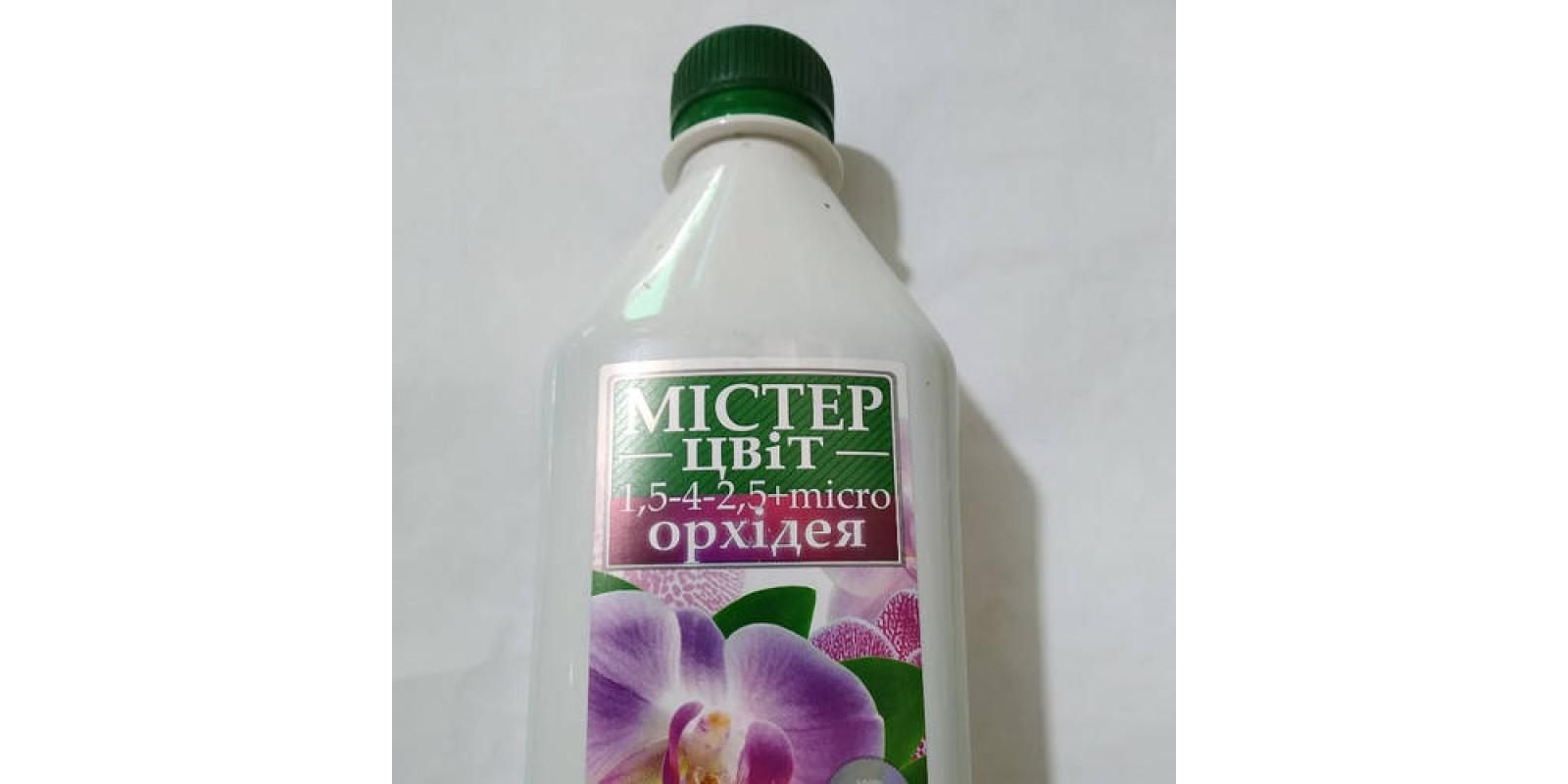 Містер колір орхідея