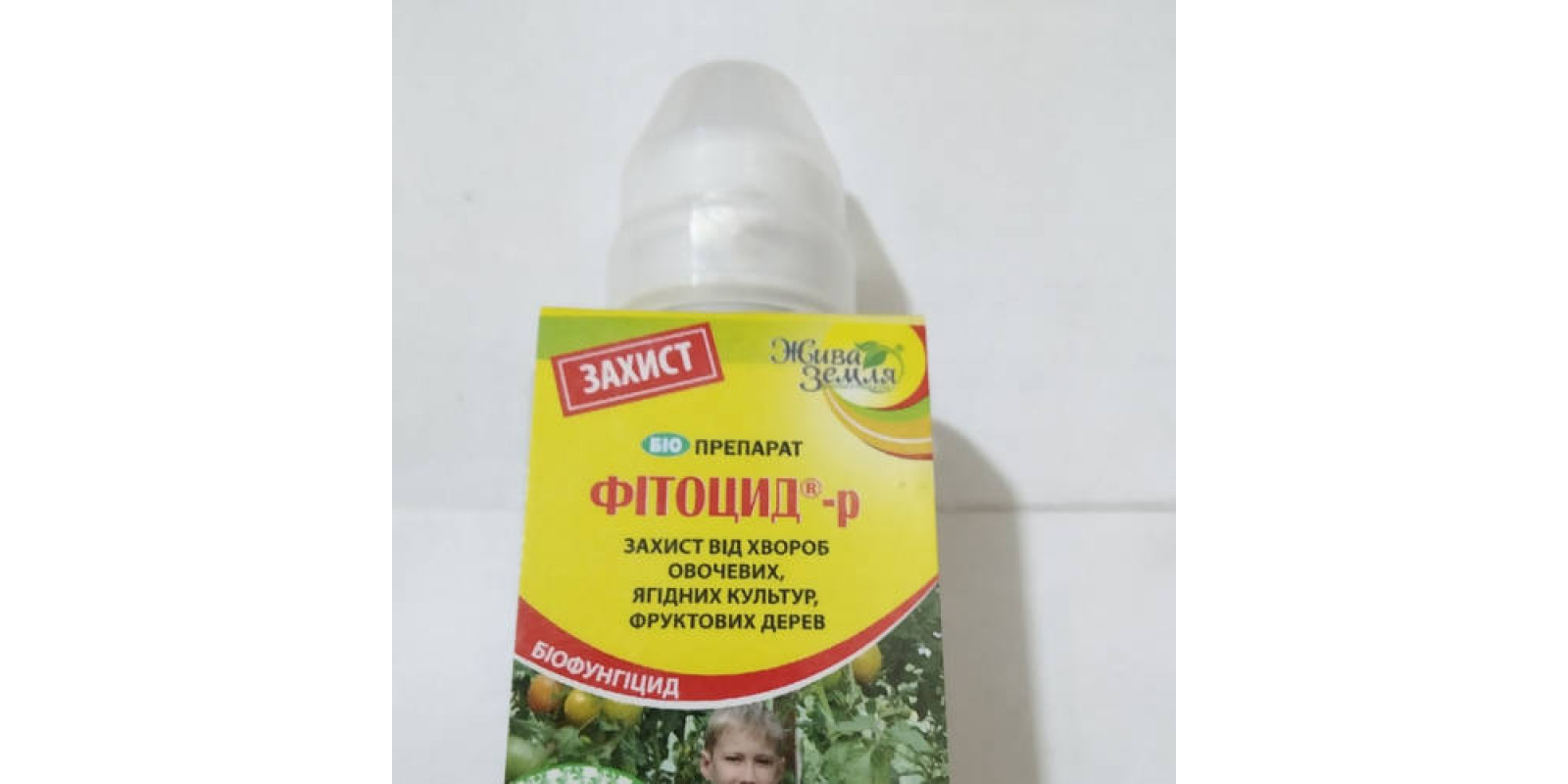 Фітоцид Фітоцид