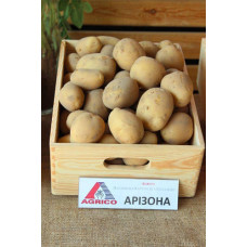 Картопля Арізона 80грн/2,5кг