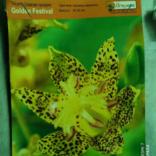 Трициртис (садовая орхидея ) Golden Festival трициртис (садовая орхидея ) golden festival дача, сад, огород 50128 1