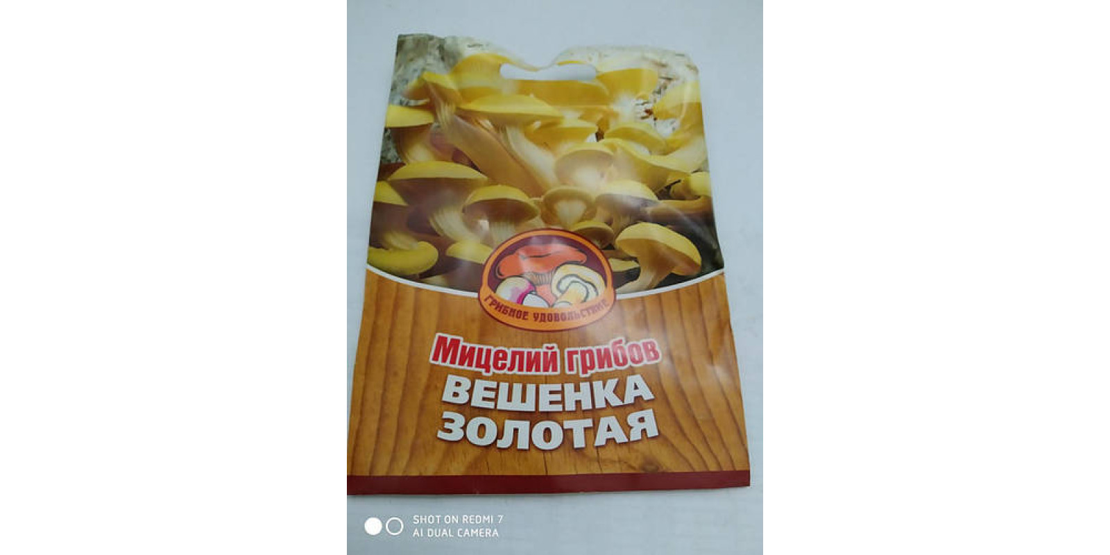 Глива золота, міцелій на деревних паличках, 16 шт.