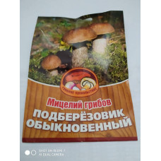  подберезовик обыкновенный на субстрате (грибное удовольствие) дача, сад, огород 50152 1