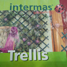 Ґрати садові Trellis 1*2м