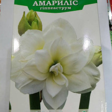  гиппеаструм махровый white amadeus дача, сад, огород 50220 1