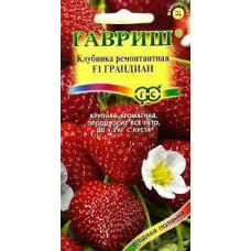 Насіння Суниці (Полуниця) Грандіан F1, ремонтантна, 5шт, Гавриш, Ягідна галявина