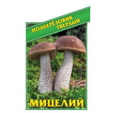  грибы подберёзовик твёрдый дача, сад, огород 50153 1