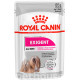Royal Canin