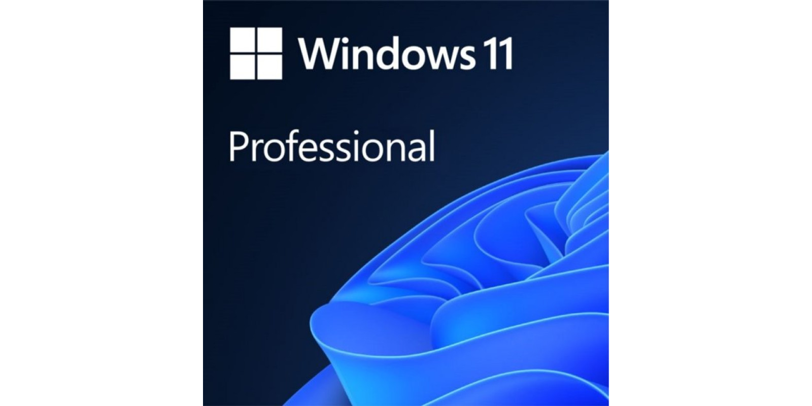 Microsoft Windows 11 Pro
