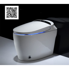 Електронний унітаз Roper Nice 8591