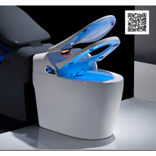 Електронний унітаз Roper Nice 866