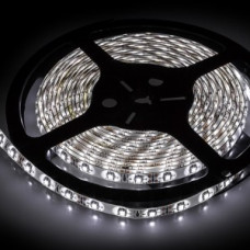 LM2835-WN120-W-5MM-12V Leomay