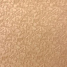 Профілактич.лист BISSELL 380*570*1,8мм бежевий (067) Профілактич.лист BISSELL 380*570*1,8мм бежевий (067)