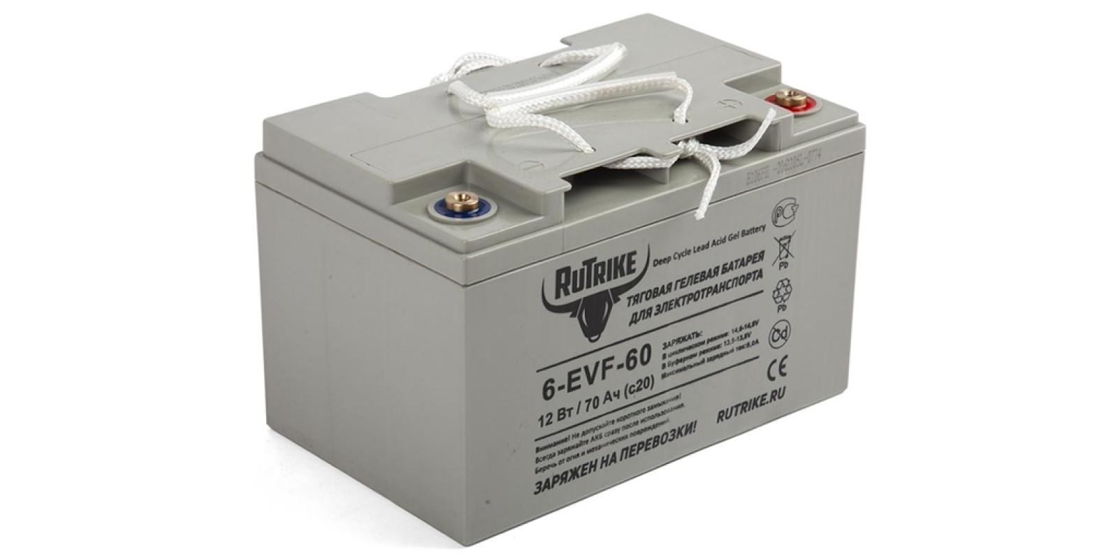 Тяговый гелевый аккумулятор RuTrike 6-EVF-60 (12V60A/H C3)