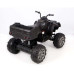 Электроквадроцикл Grizzly Next BARTY Т009МР Black электроквадроцикл grizzly next barty т009мр black электроквадроциклы 48751 3