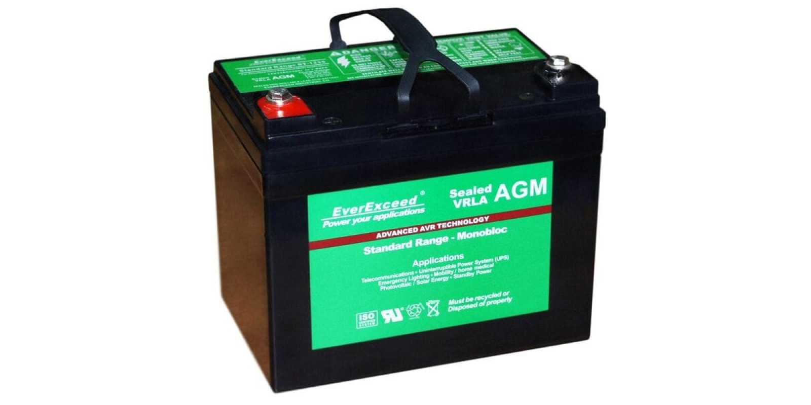 Аккумулятор EverExceed ST-1235