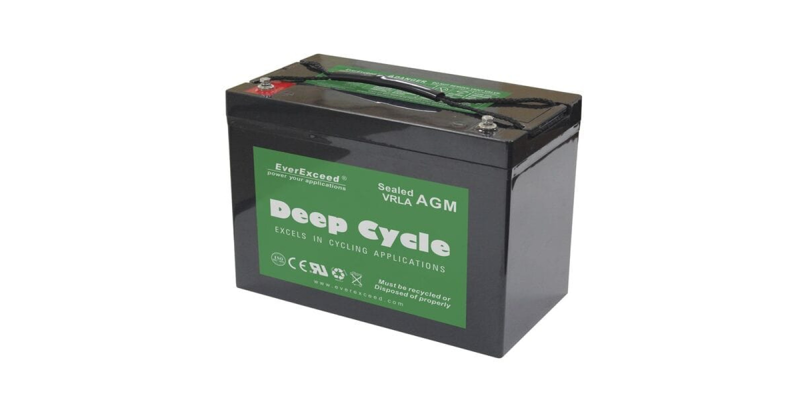Акумулятор EverExceed DP-12100