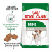  royal canin mini adult сухий корм для собак малих порід будинок, квартира, дача 36947 2