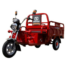 Электро-карготрицикл Electrowin Cargo 3 электро-карготрицикл electrowin cargo 3 грузовые электрические тележки 51867 1