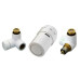  комплект радиаторный danfoss rax-set современная сантехника 28250 2