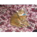  royal canin sterilised 37 4 кг (2537040) будинок, квартира, дача 35967 2
