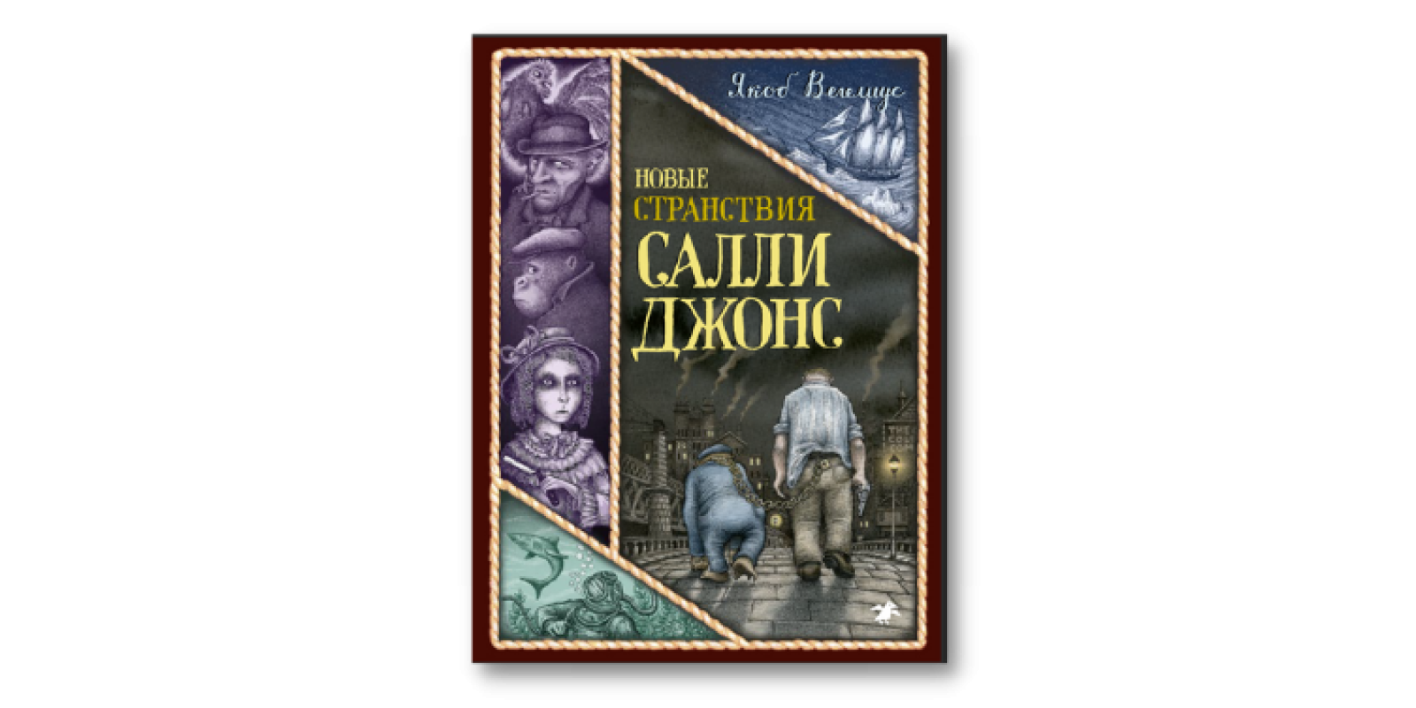 Новые странствия Салли Джонс