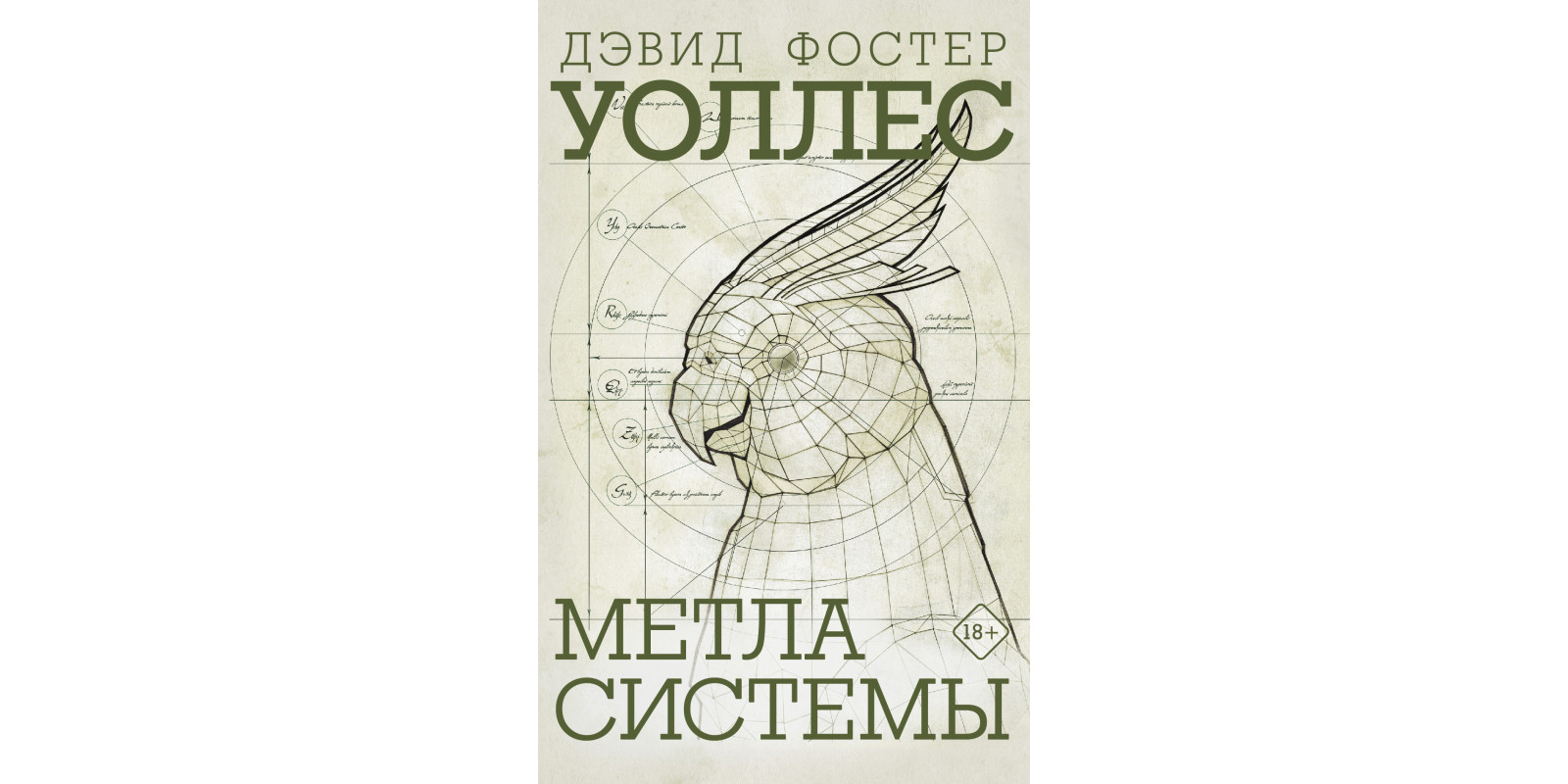 Метла системы Метла системы