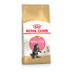 Сухий корм для котів Royal Canin Maine Coon Kitten