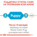  сухой корм для собак royal canin pug puppy 1.5 кг + 500 г дом, квартира, дача 37796 3