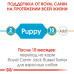  сухой корм для собак royal canin jack russell terrier puppy 1.5 кг + 500 г дом, квартира, дача 37784 3