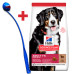  сухий корм для собак hill's science plan canine adult large lamb & rice 14 кг будинок, квартира, дача 37840 3