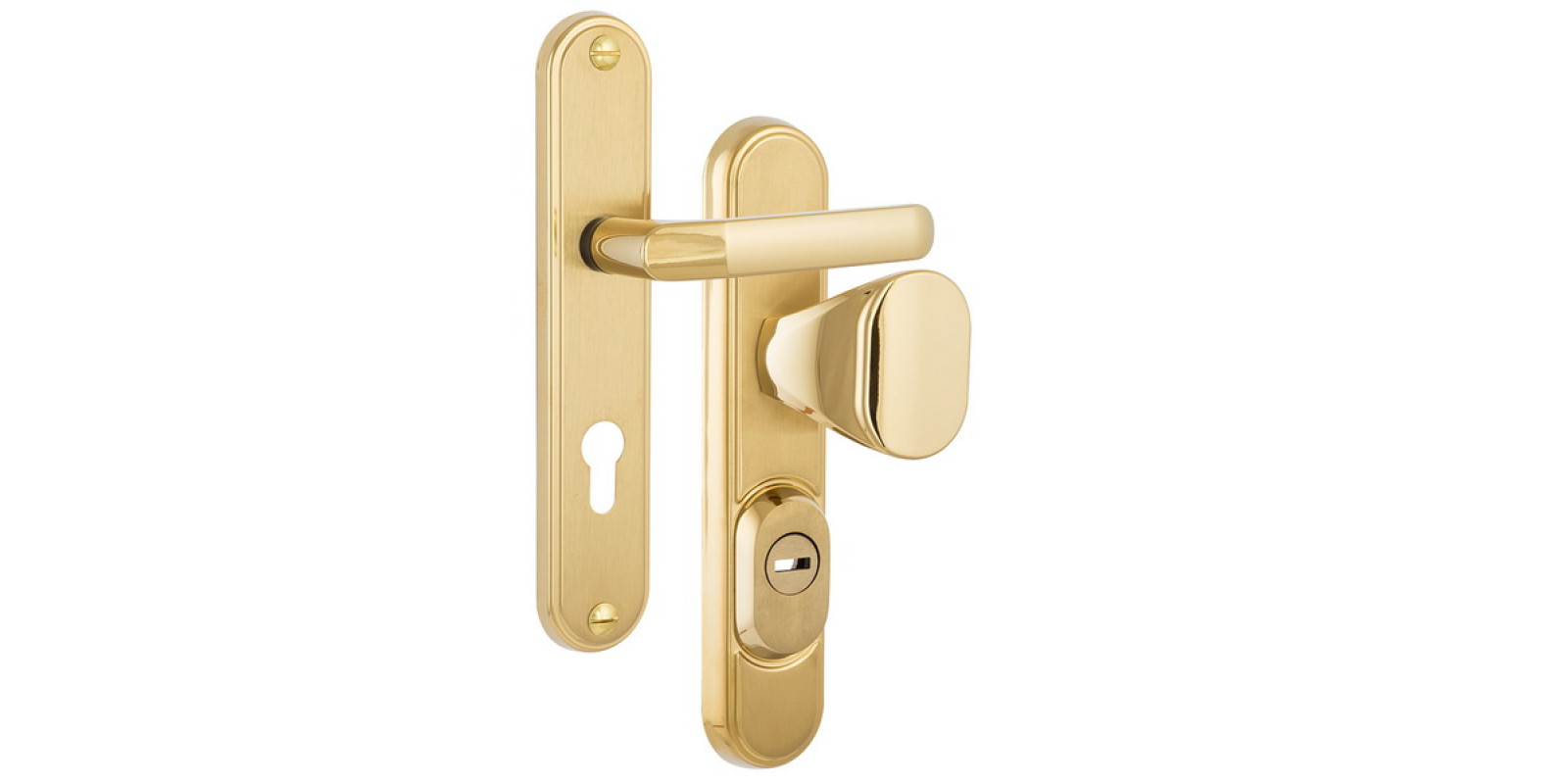 Защитная фурнитура ROSTEX R1 Decor TI/MAT Защитная фурнитура ROSTEX R1 Decor TI/MAT