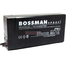 4V 2,5A 2FM2,5 Bossman-Profi Акку SLA. 4v 2,5a 2fm2,5 bossman-profi акку sla. офис, бизнес и торговля 54194 1