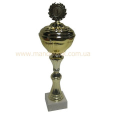Кубок 20012 Кубок 20012