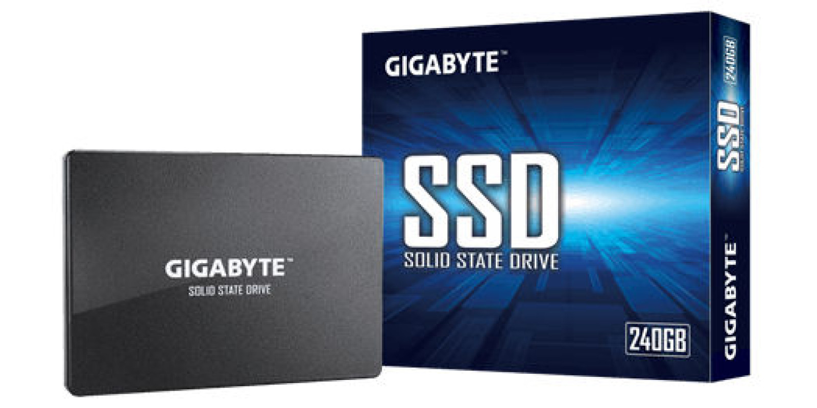Жест.диск: Gigabyte GP-GSTFS31240GNTD