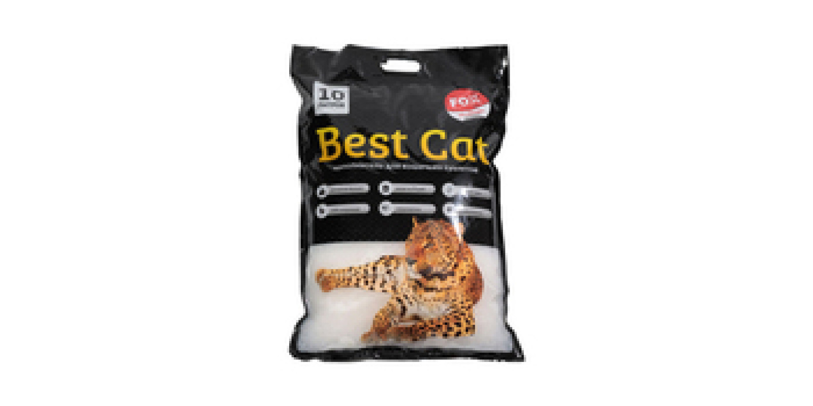 FOX Best Cat White