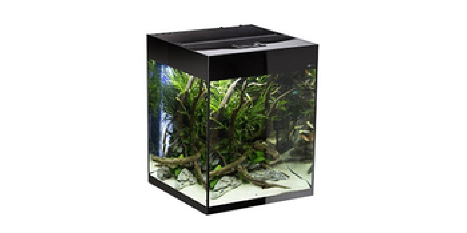 Aquael Glossy Cube