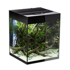 Aquael Glossy Cube