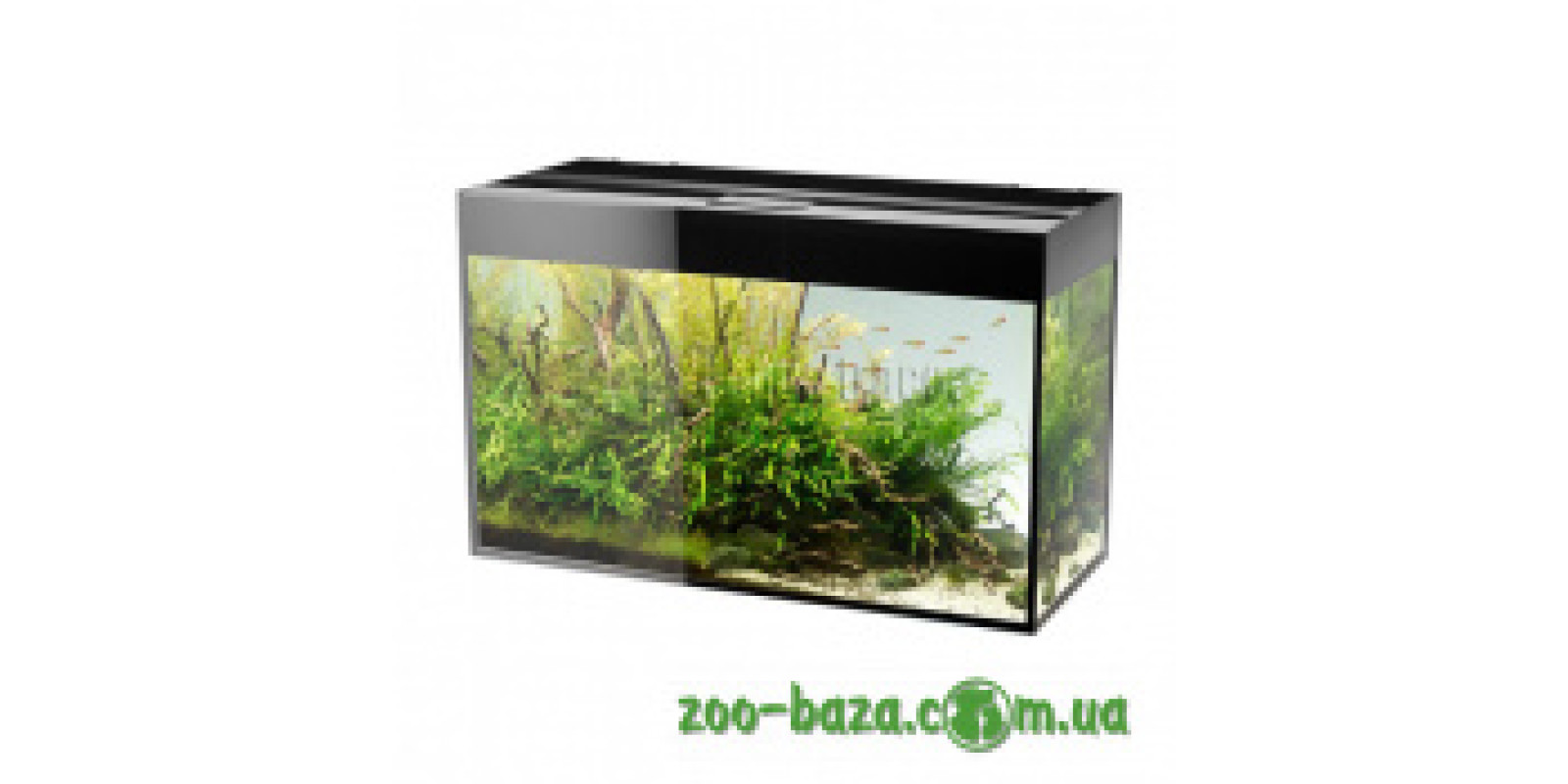 Aquael Glossy