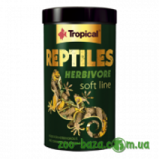 Tropical Reptiles Herbivore Soft Line