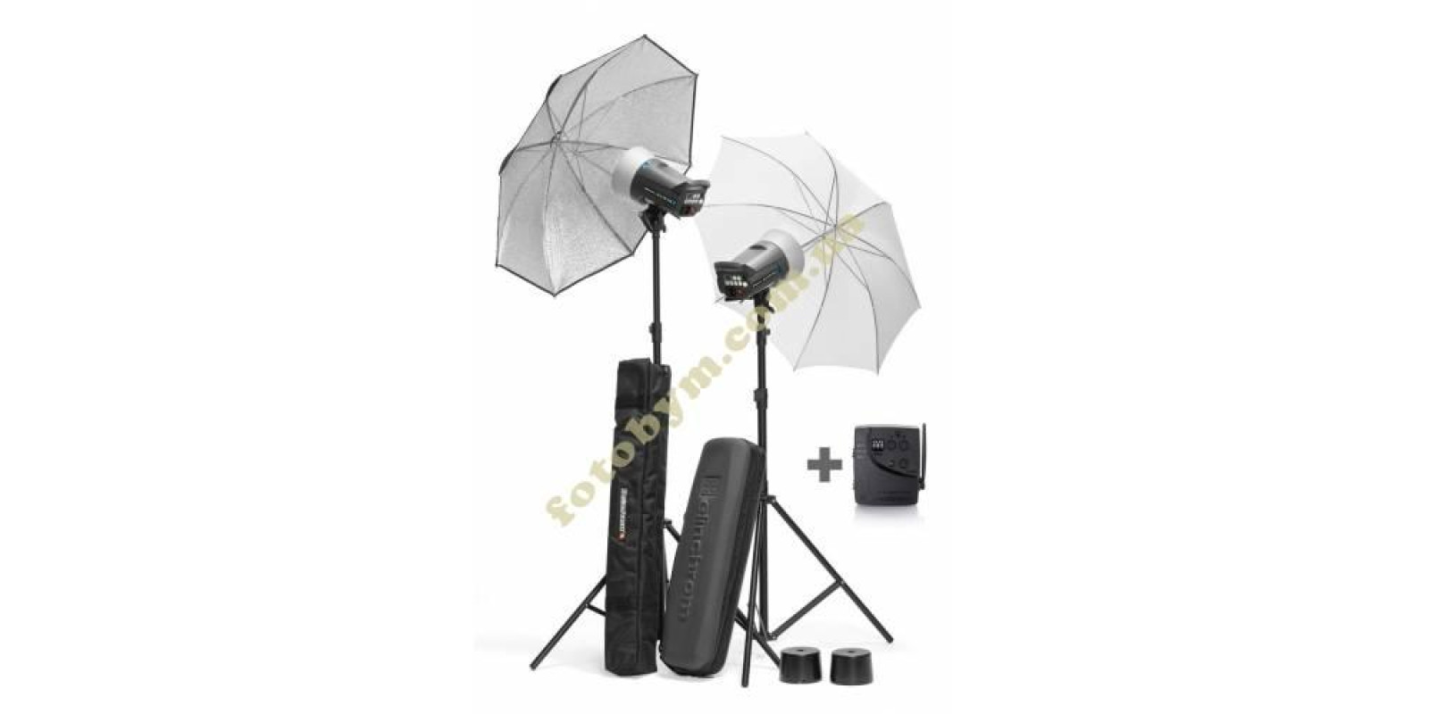 Набір студійного освітлення Elinchrom D-Lite RX 2/4