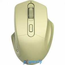 Canyon MW-15 Gold (CNE-CMSW15GO) USB