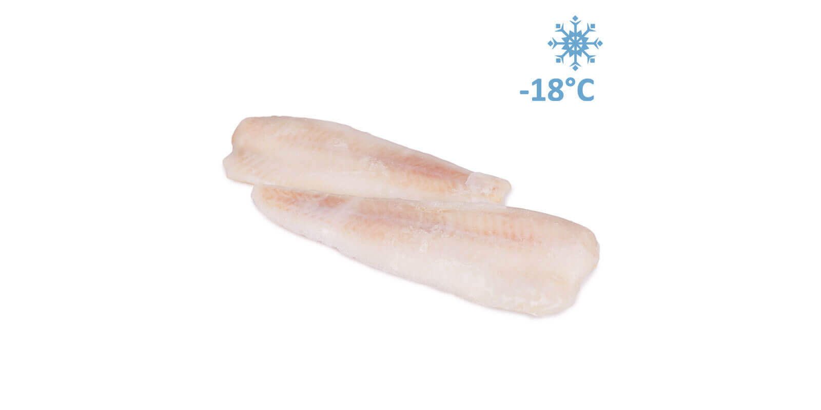 Філе мідії с/м 20% 227+ 5 кг