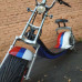  електроскутер citycoco harley prince автотранспорт та автотовари 33113 3