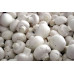  грибы шампиньоны, кг. продукты питания 38784 2