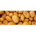  картопля, кг продукти харчування 38676 2
