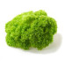  лолло биондо (импорт), кг продукты питания 38727 2