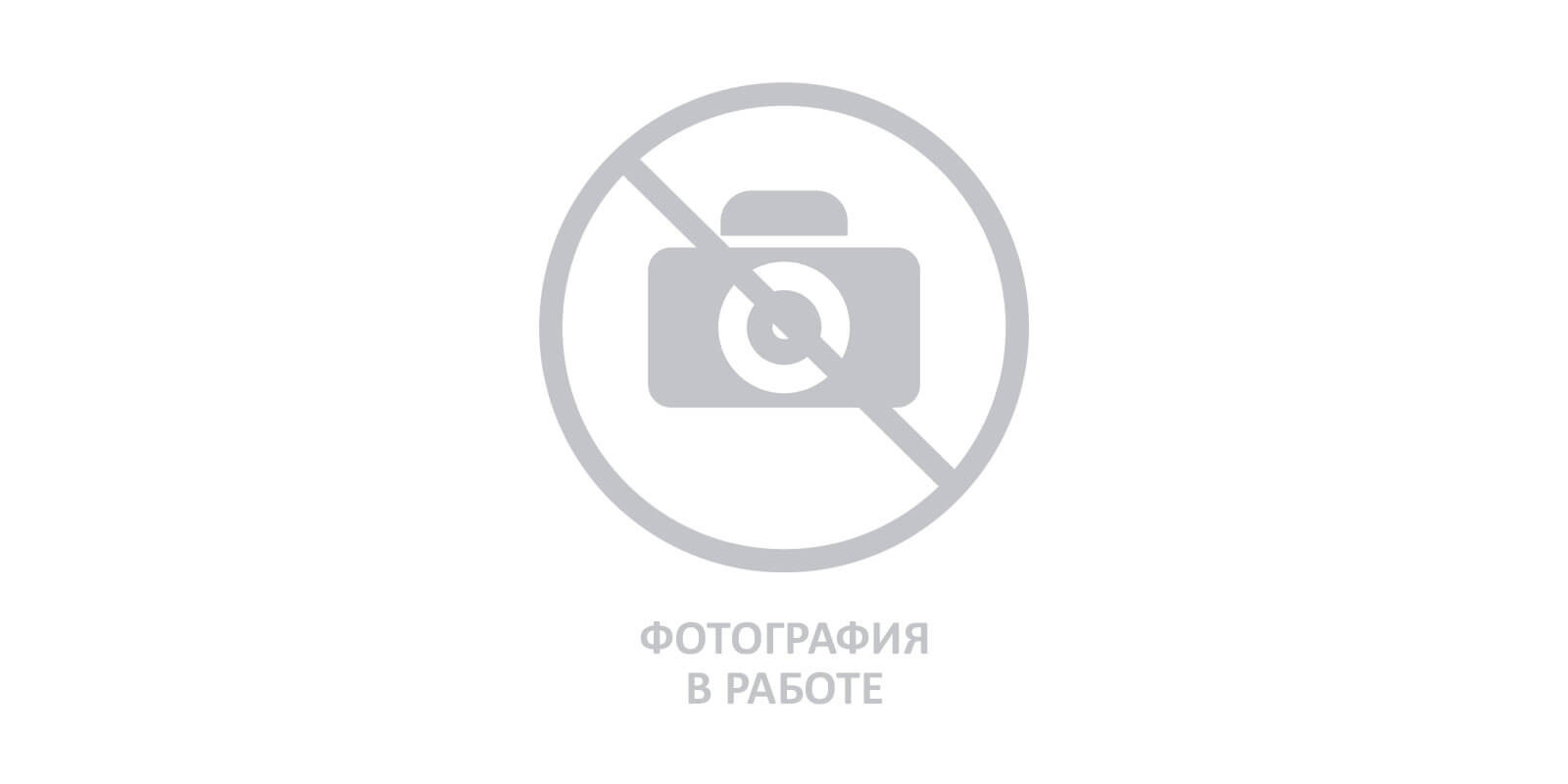 Заморожений натуральний напій "Чай обліпиха-лимон-імбир" Rio Bamba 50г (20 шт.)